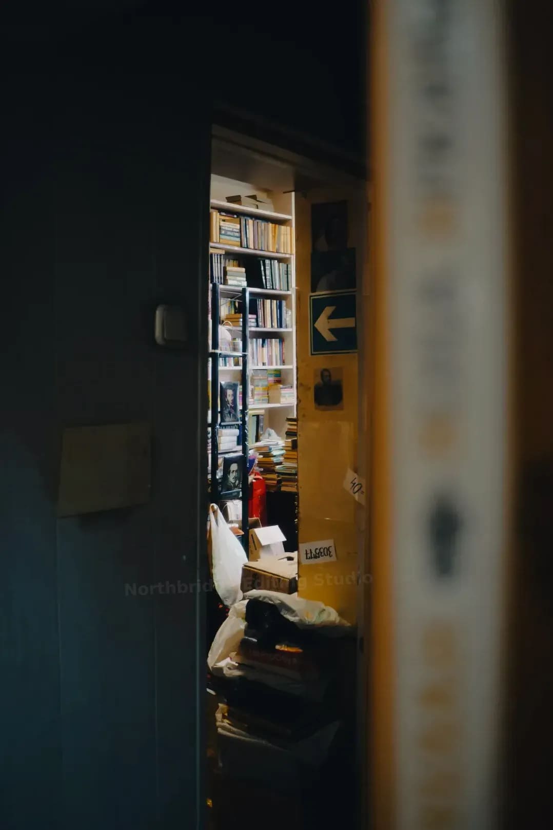 Northbridge Editing Studio 12